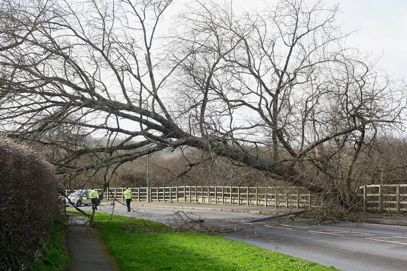 A fallen tree blocks a road in Tenby. Reuters
