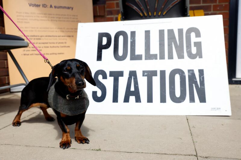 Elsie, a dachshund dog, outside a polling station in St Albans, in London's commuter belt. Reuters