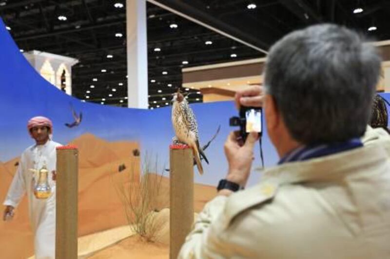 ABU DHABI - UNITED ARAB EMIRATES - 04SEPT2013 - A visitor photograph a falcon at falcon centre stall at the opening day of the Abu Dhabi International Hunting and Equestrain Exhibition 2013 yesterday at Abu Dhabi National Exhibition Centre. Ravindranath K / The National 