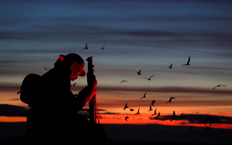 Seagulls fly around the statue entitled 'Tommy', a First World War soldier by artist Ray Lonsdale at dawn in Seaham, England. Reuters