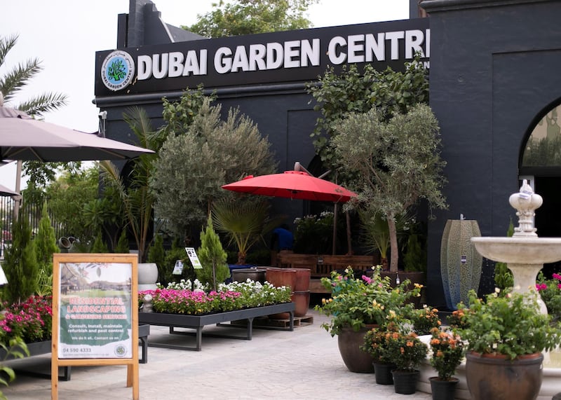 DUBAI, UNITED ARAB EMIRATES - JULY 22 2019.

The newly opened Dubai Garden Center in Jumeira 1, opposite Town Center.

(Photo by Reem Mohammed/The National)

Reporter: Katy Gillett
Section: WK