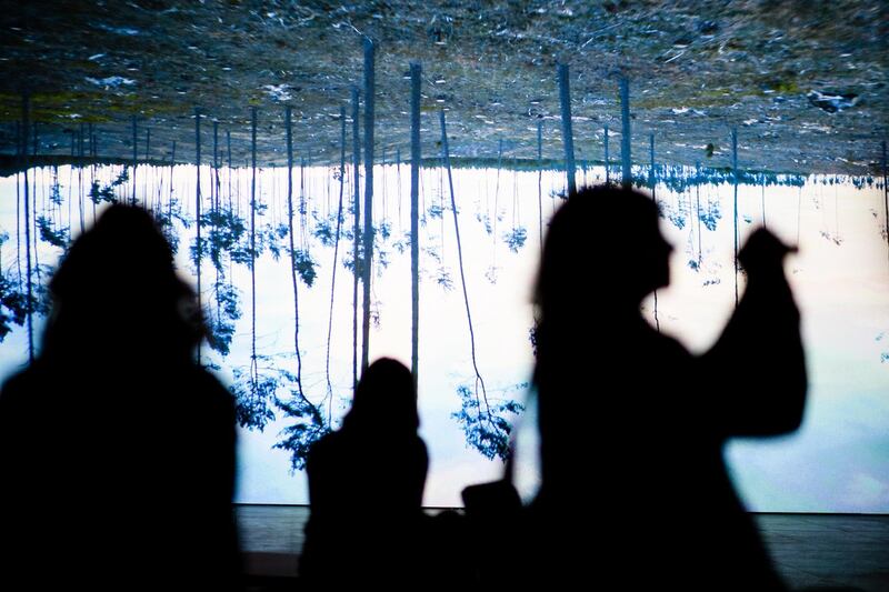 Visitors stand in front of a video installation of the artwork 'The Demon's Brain' by Polish artist Agnieszka Polska (not in the picture) at the 'Hamburger Bahnhof' exhibition hall in Berlin.  EPA