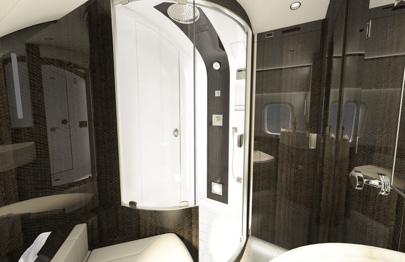The private jet has a full-size shower on board.