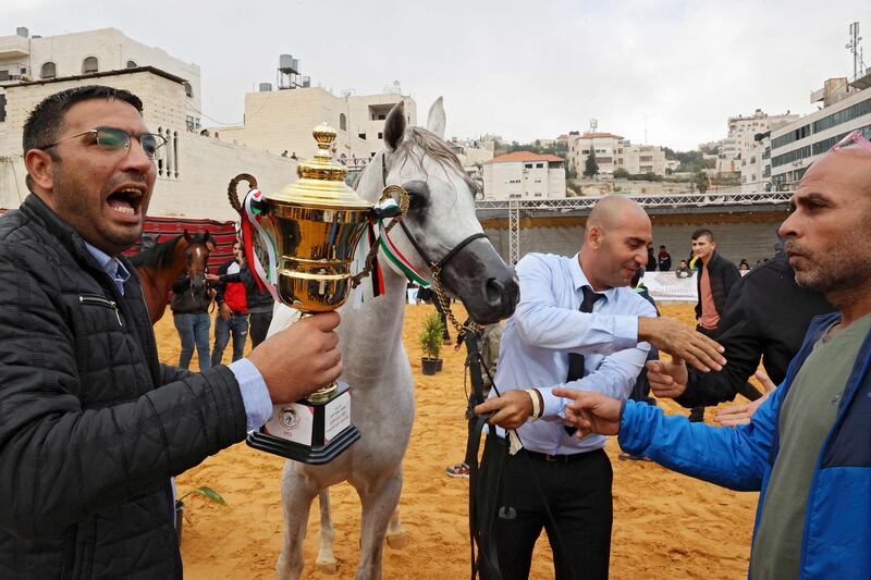 An equine trainer and his horse win first prize in a beauty contest for Arabian purebred horses in the city of Hebron in the occupied West Bank. All photos: AFP