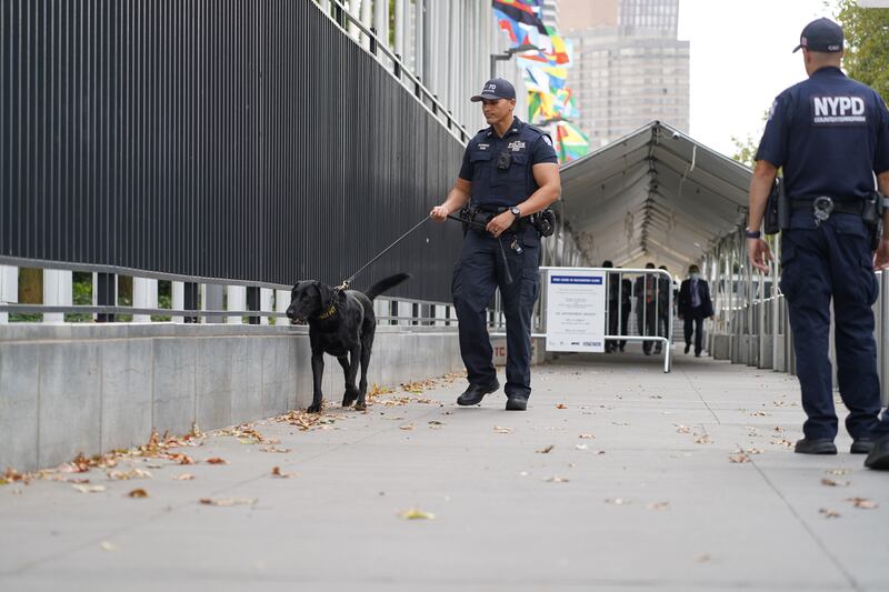 An NYPD bomb-sniffing dog patrols the fence around UN headquarters. Willy Lowry / The National