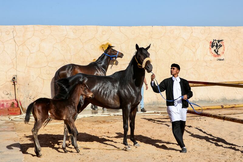 A man looks at a horse at a stable in Zliten, Libya. 
