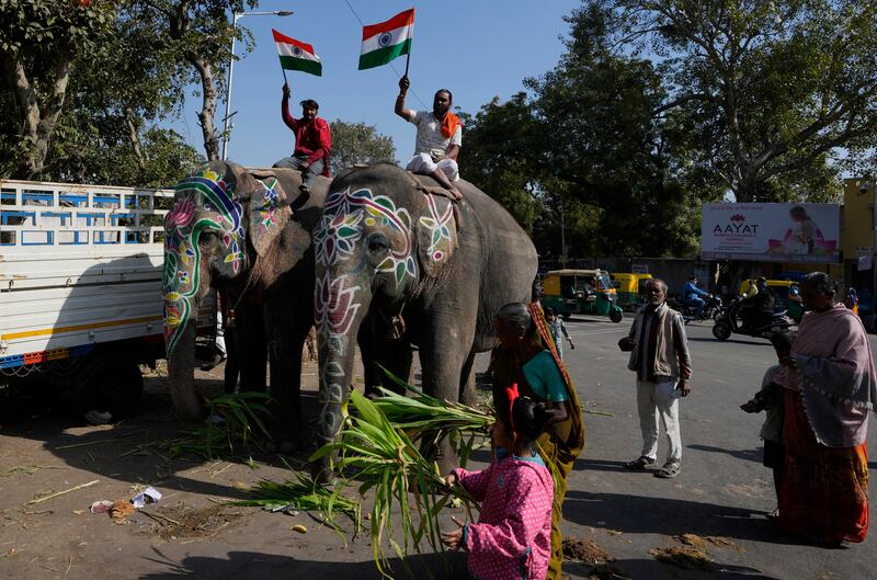 People feed elephants as mahouts wave Indian flags during Republic Day celebrations in Ahmedabad. AP