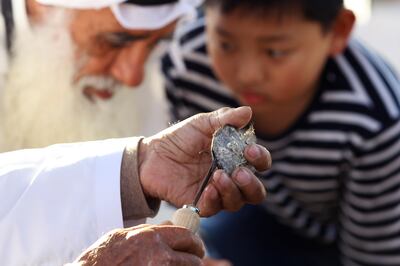 ABU DHABI, UNITED ARAB EMIRATES - - -  February 4, 2016 ---  A young visitor watches as a oyster is opened. This is among the activities or demonstrations available to visitors at the Qasr Al Hosn Festival in Abu Dhabi, which runs through February 13, 2016.   ( DELORES JOHNSON / The National )
ID: 93361
Reporter: Rym
Section: AL *** Local Caption ***  DJ-040216-AL-Qasr Al Hosn-93361-015.jpg