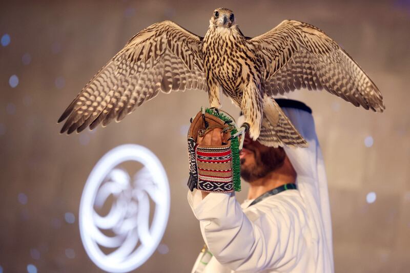 An auctioneer presents a falcon to bidders during Adihex. AFP