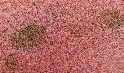 A close-up look at grime on an unwashed Beautyblender sponge. Photo: Matthew Doogue