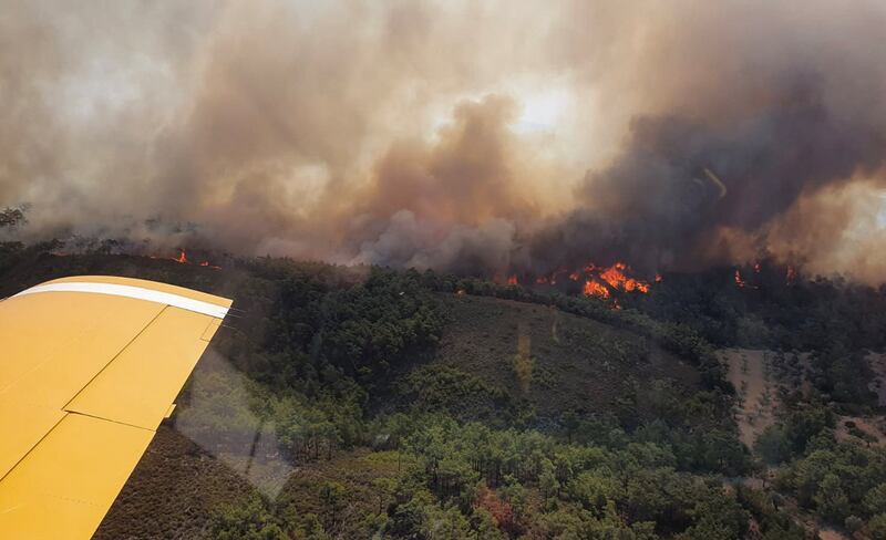 A plane fighting wildfires in Greece has crashed. Reuters