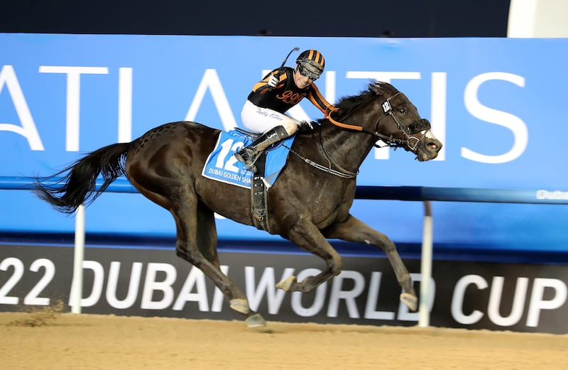 Tadhg O’Shea after guiding  Switzerland to the Dubai Golden Shaheen during the Dubai World Cup at Meydan Racecourse. Pawan Singh / The National