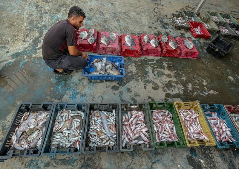 Palestinian fishermen sell their morning catch at the seaport in Gaza ciity. EPA
