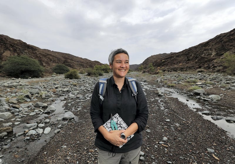 Ras Al Khaimah, United Arab Emirates - November 26, 2018: The remarkable plants of the Ru'us Al Jibbal and Hajjar Mountains are being recorded by botanist Marina Tsaliki for the RAK government before they are lost to quick paced development. Monday the 26th of November 2018 in Ras Al Khaimah. Chris Whiteoak / The National
