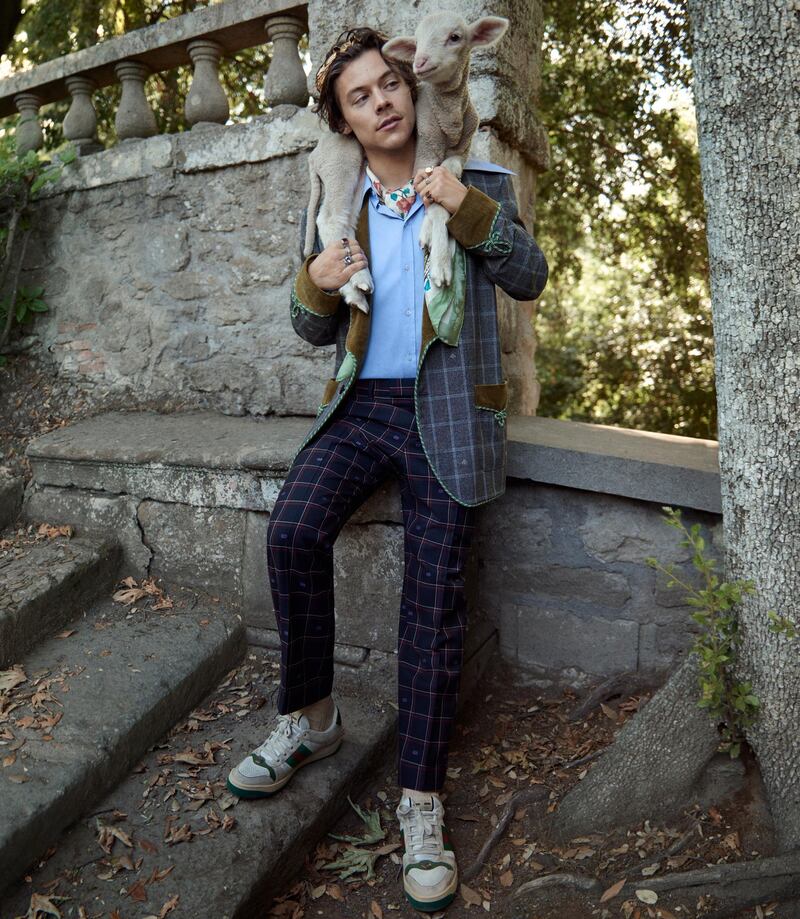 Harry Styles in Gucci, the baby lamb is wearing model's own .  