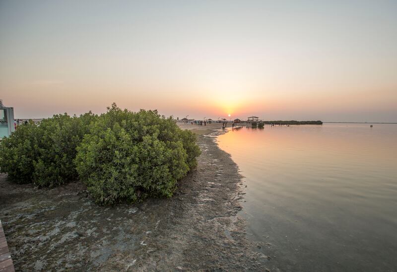 Endless mangrove views and spectacular sunsets await at Umm Al Quwain's Not A Space In The Wild