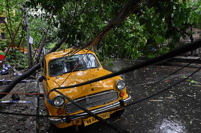 An uprooted tree in Kolkata after Cyclone Rema. The city's Mayor Firhad Hakim said 56 trees were uprooted after the cyclone made landfall. AFP