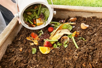 Composting (iStockphoto.com) *** Local Caption ***  wk29ma-gd-gardener.jpg