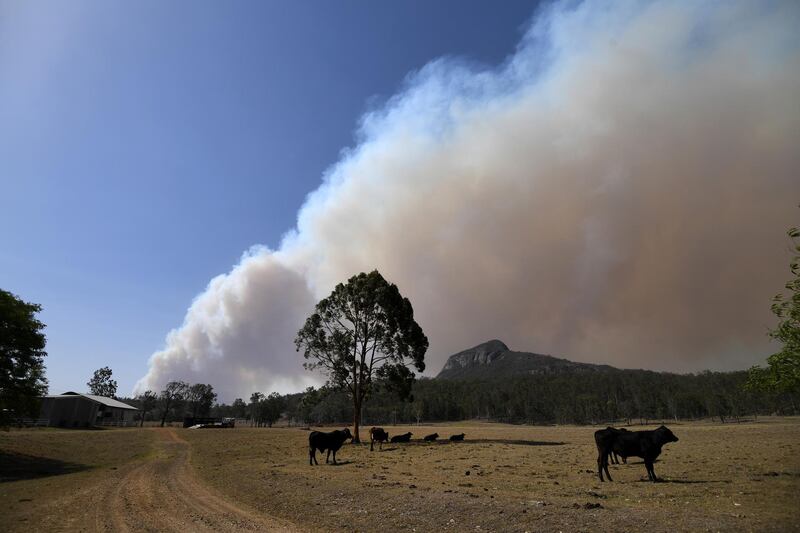 Smoke rises from an out-of-control bushfire near Clumber, Queensland, Australia.  EPA