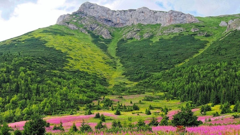 1. Slovakia's High Tatras features glassy mountain lakes, brown bears and alpine peaks.