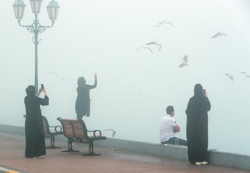 Abu Dhabi, United Arab Emirates, February 16, 2021. Residents enjoy the foggy weather at the UAE Flag area, Corniche.
Victor Besa/The National
Section:  NA/Weather/Big Picture