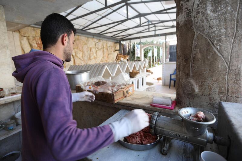 A volunteer grinds mincemeat to feed cats at Ernesto's Cat Sanctuary. AFP