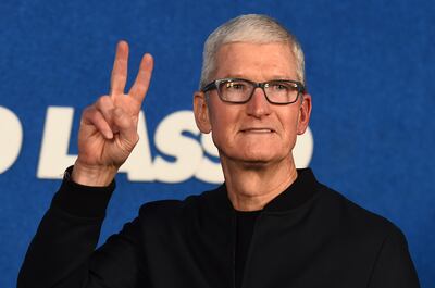 Apple's chief executive Tim Cook earned more than $265m last year. AP