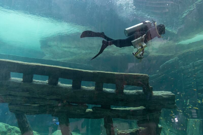 A diver cleaning the water before SeaWorld Abu Dhabi opens to the public 