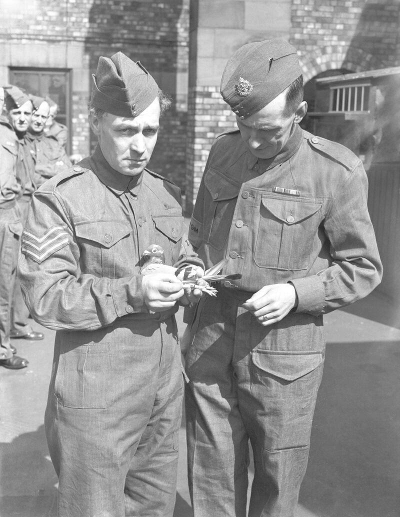 Members of the Home Guard with their racing pigeons at Blackburn in Lancashire, during World War II, 31st July 1940. The pigeons are being trained as messengers. (Photo by Fox Photos/Hulton Archive/Getty Images)
