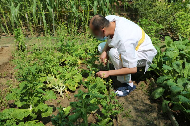 An inmate at Dubai Central Jail works in the organic farm. Nilanjana Gupta/ The National