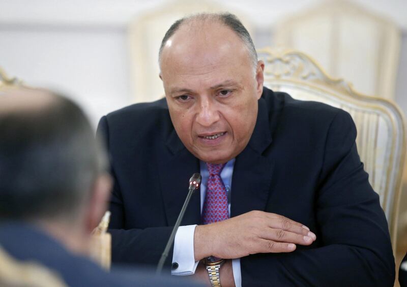 Egyptian foreign minister Sameh Shoukry at a meeting with Russian foreign minister Sergey Lavrov in Moscow. Sergei Chirikov / EPA