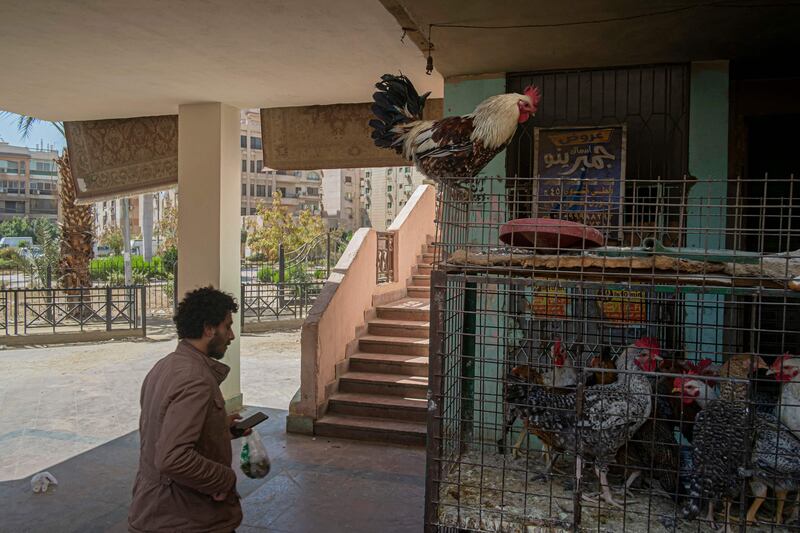 A man walks past a chicken for sale in Cairo, as Egypt takes steps to address rising food prices. AFP