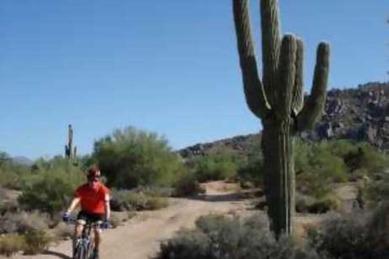 Scottsdale, Arizona - October 9, 2008. A man rides a mountain bike on "Brown's Jam" trail in the McDowell Sonoran Preserve.  The 16,000 acre  preserve contains mountain bike and hiking trails that weave between piles of huge granite boulders unique to the area. (Tarquin Cooper / The National)                                *** Local Caption ***  TR01NO WILD - SCOTTSDALE 02.jpg