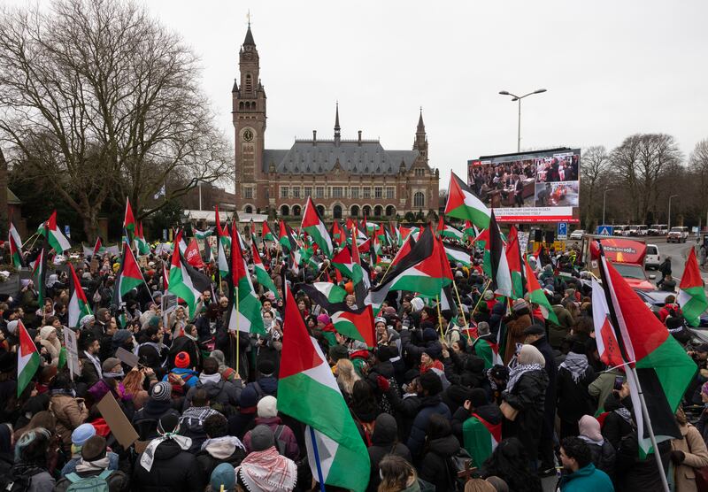 Pro-Palestinian protesters outside The Hague when judges heard South Africa's case against Israel in January. Getty Images