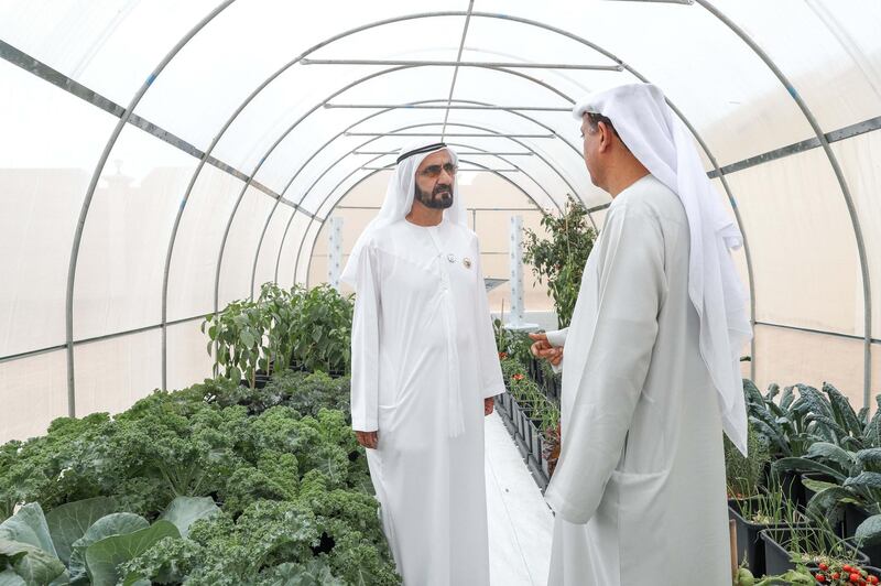 Vice President and Prime Minister of the UAE and Ruler of Dubai His Highness Sheikh Mohammed bin Rashid Al Maktoum reviewed the progress of housing construction and federal roads projects in Ras Al Khaimah. He was accompanied on his visit by Sheikh Mohammed bin Saud bin Saqr Al Qasimi, Crown Prince of Ras Al Khaimah; Lt. General Sheikh Saif bin Zayed Al Nahyan, Deputy Prime Minister and Minister of Interior; Sheikh Mansour bin Zayed Al Nahyan, Deputy Prime Minister and Minister of Presidential Affairs; Mohammad bin Abdullah Al Gergawi, Minister of Cabinet Affairs and The Future; and Dr. Abdullah bin Mohammed Belhaif Al Nuaimi, Minister of Infrastructure Development and Chairman of Sheikh Zayed Housing Programme. Dubai Media Office / Wam