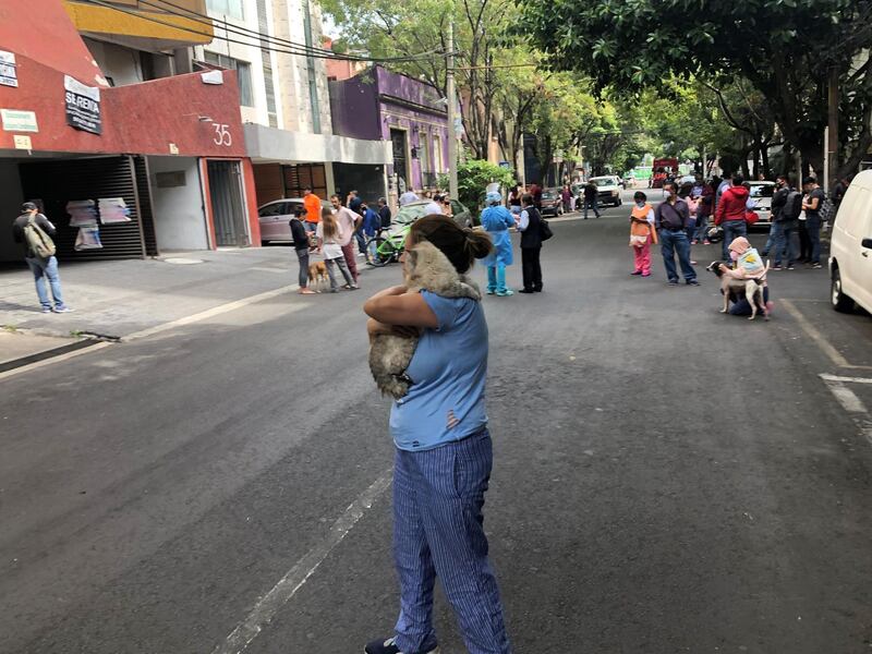 People and their pets are seen on a street during a quake in Mexico City.    AFP