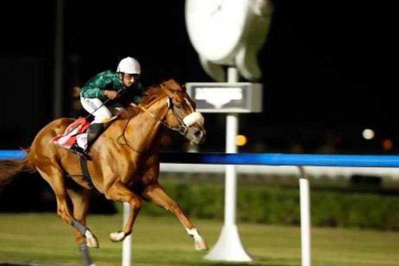 Capponi was the runner-up at last year's Dubai World Cup and will be among seven entered in Thursday's feature race at the Meydan Racourse. Mike Young / The National