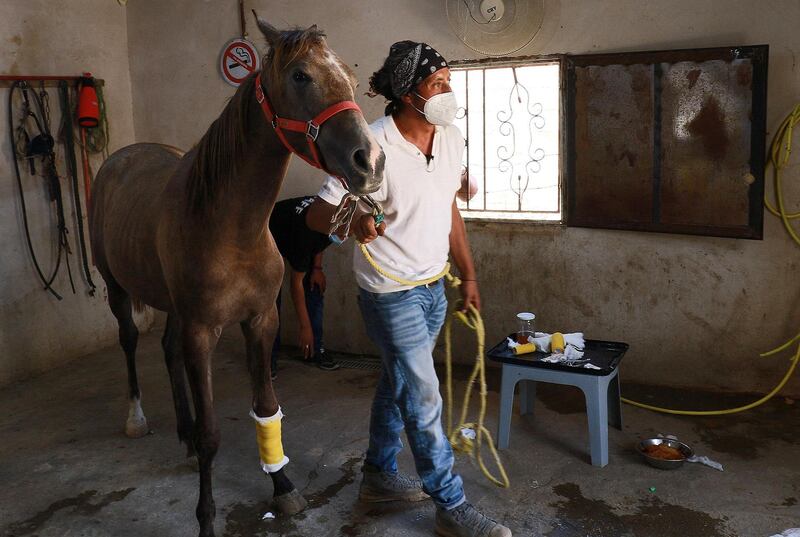 Egyptian vet Hassan Shatta, an equine surgery specialist who runs the PETA clinic,  treating donkeys and horses used by locals to transport visitors in the Jordanian ancient city of Petra. Herds of hard-working donkeys once carried hordes of tourists on the rocky paths of Jordan's Petra, but visitor numbers crashed amid coronavirus and the loyal animals now face the chop. AFP