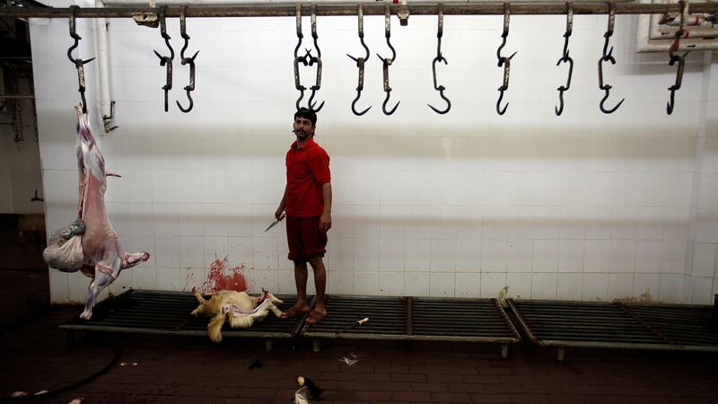 August 15, 2011 (Umm al Quwain) Nasseem Younis a butcher slaughters a lamb that will be used for Iftar dinner during Ramadan in Umm al Quwain August 15, 2011.  (Sammy Dallal / The National)