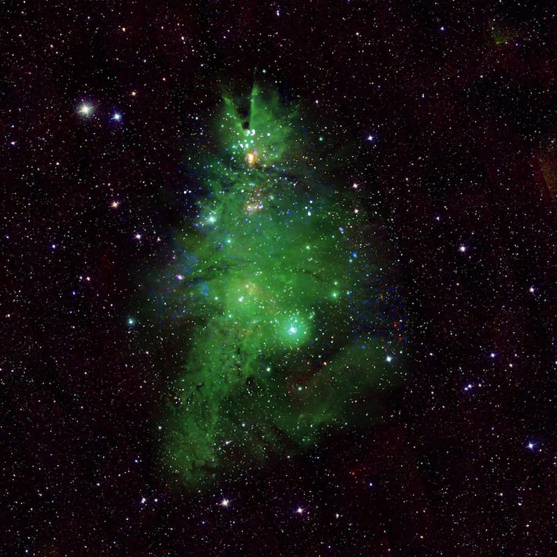 NGC 2264, also known as the 'Christmas Tree Cluster' can be found in the Milk Way, about 2,500 light-years from Earth. Photo: Nasa
