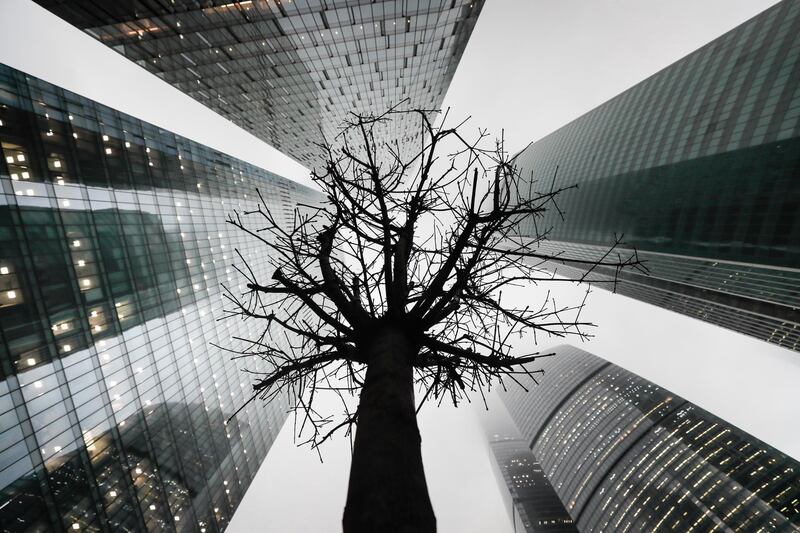 A dried tree seen near the tower Oko (left) in the business centre of Moscow City in Moscow, Russia. IT company Yandex plans to rent up to 45,000 square metres in the Oko tower.  EPA