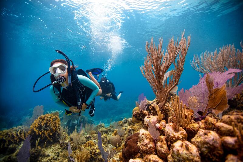 The UAE offers a range of diving courses and experiences. Courtesy Padi