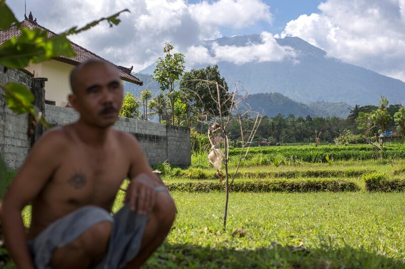 A man sits next to a paddy field as Mount Agung volcano (back) is covered by clouds in Karangasem, on Bali island on September 29, 2017. 
A rumbling volcano on the holiday island of Bali is spewing steam and sulphurous fumes with more intensity, heightening fears of an eruption as officials said the number of evacuees had topped 144,000. / AFP PHOTO / BAY ISMOYO
