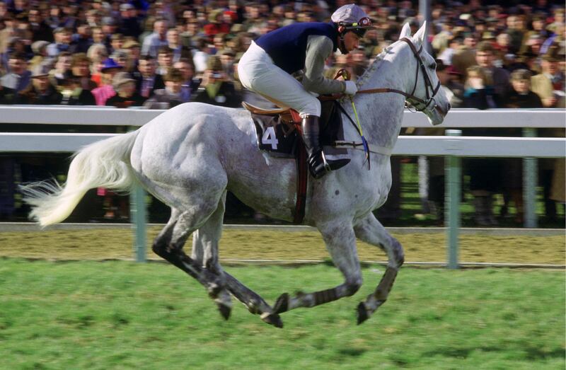 Horse Racing - 1987 Cheltenham Gold Cup - 17/3/87 
Colin Brown riding Desert Orchid 
Mandatory Credit: Action Images / Sporting Pictures / Tony Marshall / Reuters
CONTRACT CLIENTS PLEASE NOTE: ADDITIONAL FEES MAY APPLY - PLEASE CONTACT YOUR ACCOUNT MANAGER