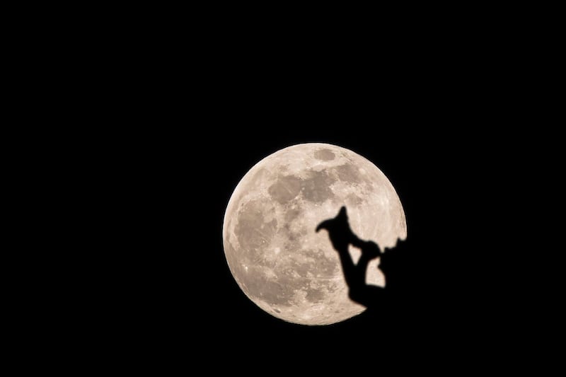 The pink supermoon rises behind the angel wind vane of the Burgtheater  in Vienna, Austria.  EPA