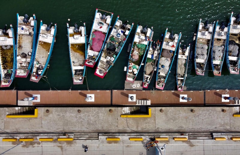 Fishing boats are docked at the Xiaguzi port in New Taipei City, Taiwan. AFP