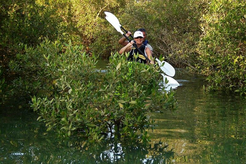 Kayaking through the Abu Dhabi Mangroves. 