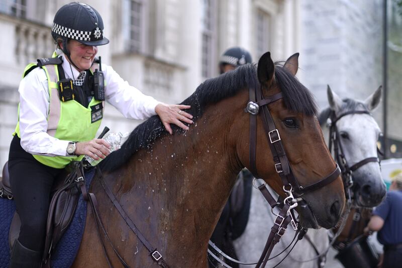 The Met Police said its mounted officers 'form a very close bond with the animals they serve alongside'. PA