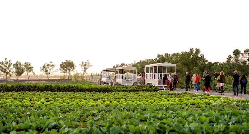 Learn more about organic farming and harvest seasonal vegetables.