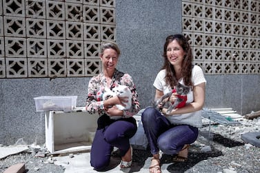 Rachael Ryder (L) and a member of Mangrove Beach Cats group with rescued cats during the coronavirus pandemic. Victor Besa / The National 